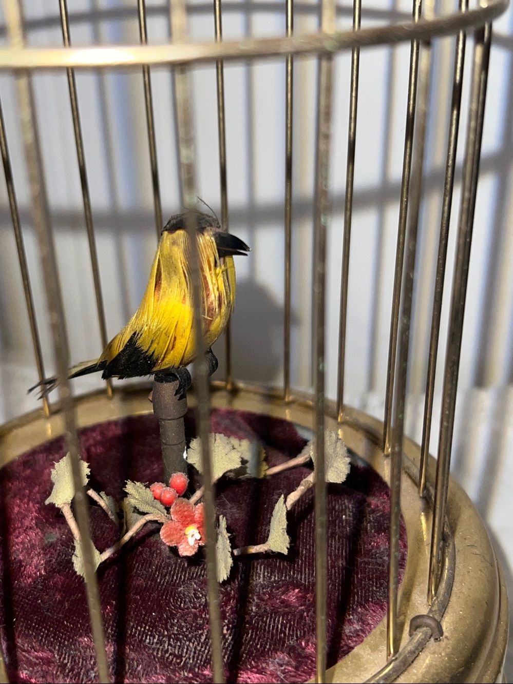 Early 20th Century Musical Bird Automaton - Picture 2 of 8